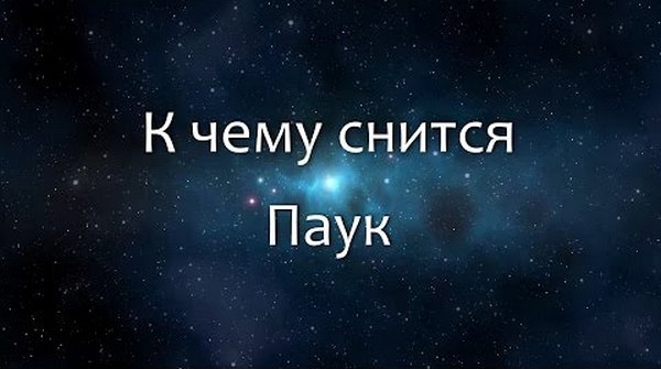 к чесу снится паук